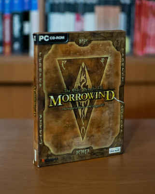 Morrowind Oblivion Skyrim Robocop Rogue City Mario RPG.JPG