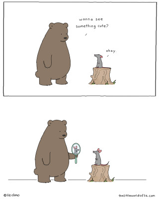 lizclimo2.jpg