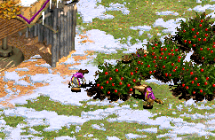 Foragers.png